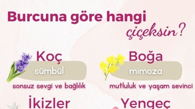 Burcuna göre hangi çiçeksiniz?