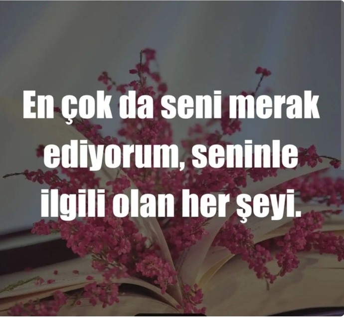 Sitede gizemli bulduğunuz, merak ettiğiniz birisi var mı?