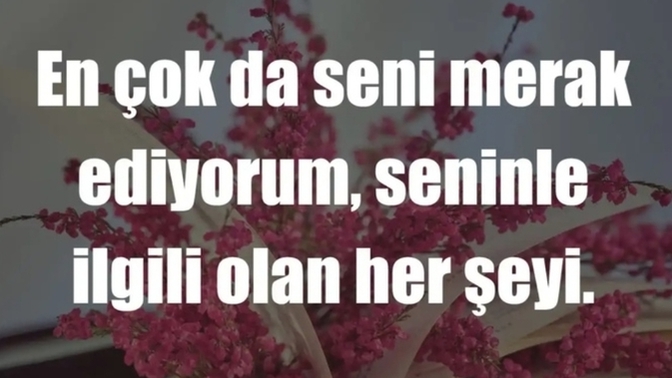 Sitede gizemli bulduğunuz, merak ettiğiniz birisi var mı?