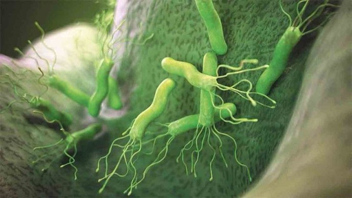 Helikobakteri pylori hangi besinleri sever sevmez?
