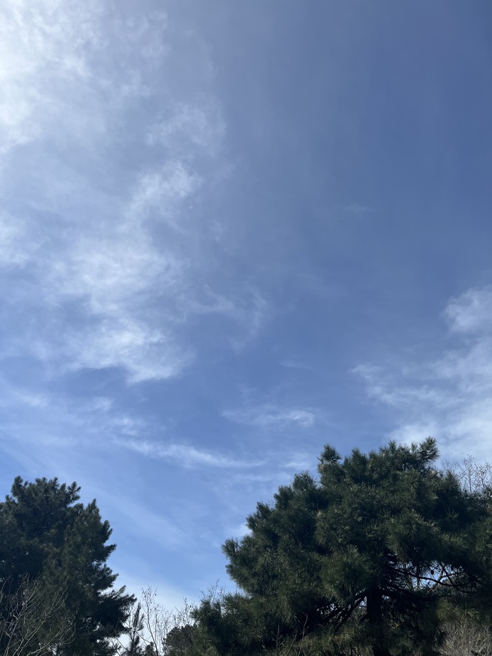 Güüüünnaaaydınnn ki uyandınız mı? 🥰😻🌸🌞?