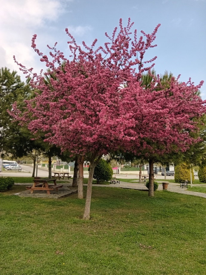 Sırf bu yüzden hayatı seviyorum dediğin bir şey söyler misin?
