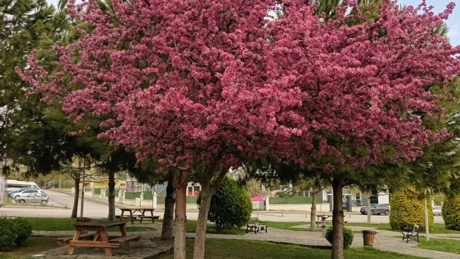 Sırf bu yüzden hayatı seviyorum dediğin bir şey söyler misin?