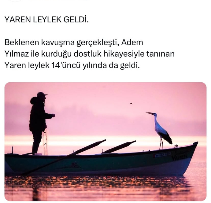 İnsanların hayvanlardan öğreneceği şeyler var mı sizce?