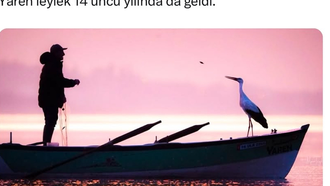 İnsanların hayvanlardan öğreneceği şeyler var mı sizce?