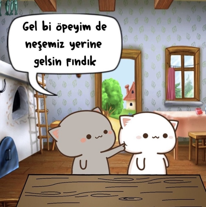 Neşenizi yerine getiren neler var?