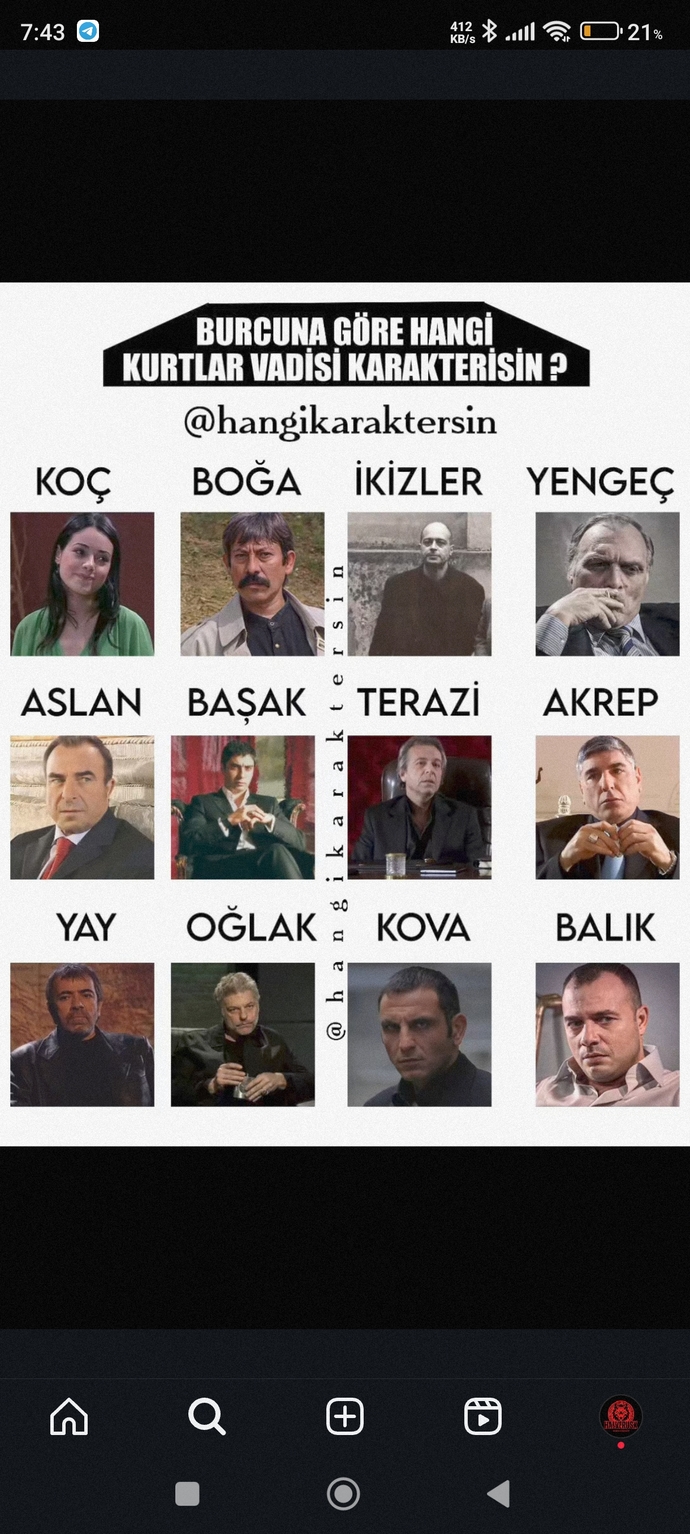 Burcuna göre hangi kurtlar vadisi karakterisin?