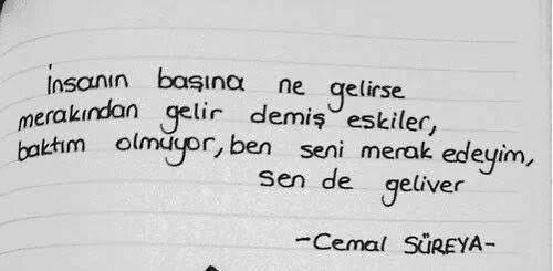 Şiir sevmemek odunluk mudur?