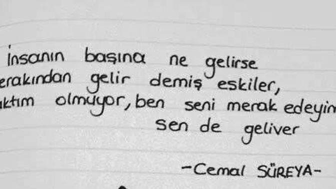 Şiir sevmemek odunluk mudur?