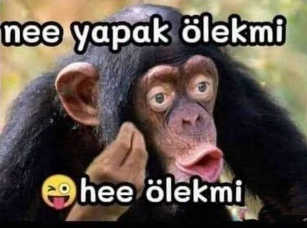 Evlenmek isteyenler neyi bilse evililikten vaz geçerlerdi?