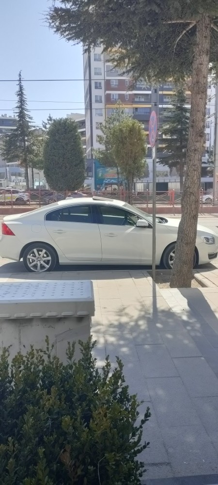 Arabam yaşlı arabası mı yoksa spor mu duruyor?