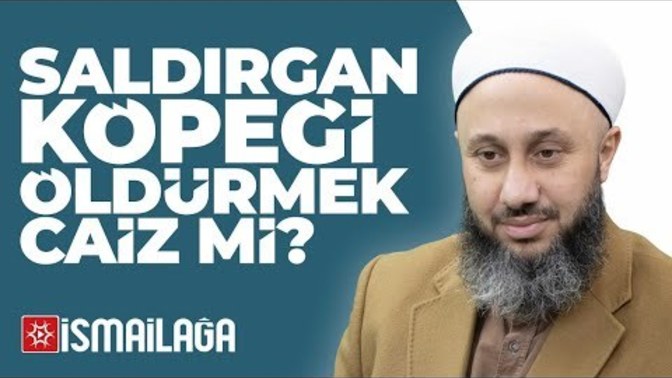 Mahallede başı boş köpekleri öldürmek günah mı?