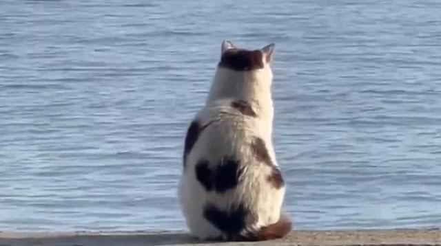 Kahrolmak için şarkı önerisi istiyorum?