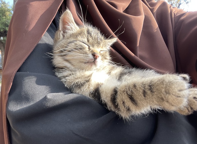 Kucağımda uyumasına içim eridi. Seçilmiş kişi gibi hissetmem normal mi?