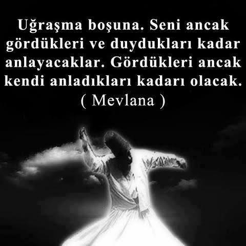 Erkeklerin hepsi aynı farklı olan tek şey maaşları mı?