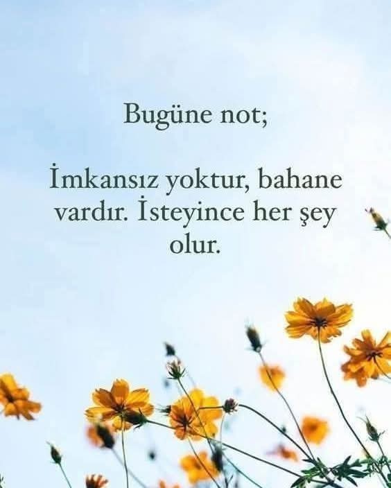 Bahanelerin arkasına sığınırmısınız?