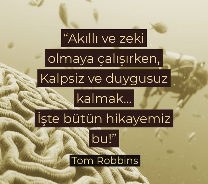 Akıllı sanan insanlara eksiklik göstergesi midir?