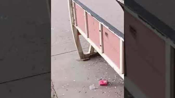 Neden bu kadar pis bir milletiz?