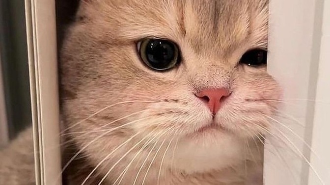 Sevgiliniz karşı cinsin paylaşımlarını sık sık beğeniyorsa, bu size normal gelir mi?