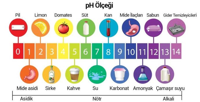 Evde kahve yapımında kullanılan suyun kalitesi kahve tadını nasıl etkiler? Hangi tür su kullanılmalı?