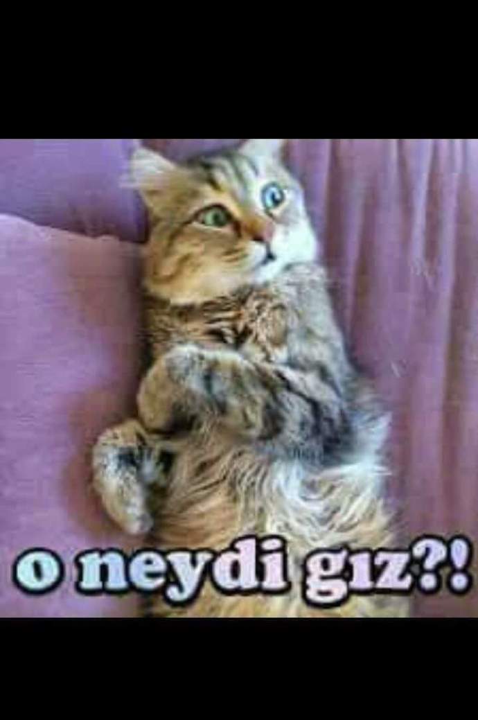 Sinirli olduğunuzda herkes sizi sinir etmeye çalışırmı?