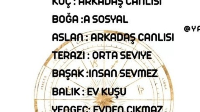NE kadar sosyalsiniz?