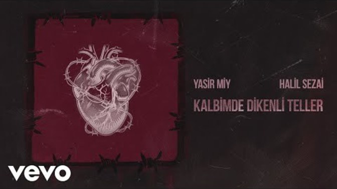 Müzik gecesi yapabilir miyiz bu gece 🥹 ? En sevdiğiniz parçayı benimle paylaşır mısınız?