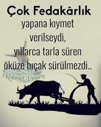 Öküz ölünce gerçekten ortaklık bitiyor mu?