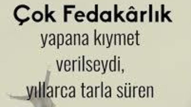 Öküz ölünce gerçekten ortaklık bitiyor mu?