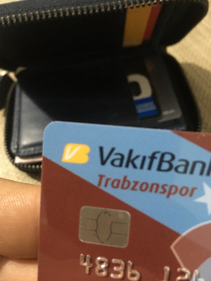 Renklerine, duruşuna bağlandığınız futbol takım hangisi?