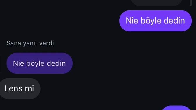 Bu erkekler niye egolu?
