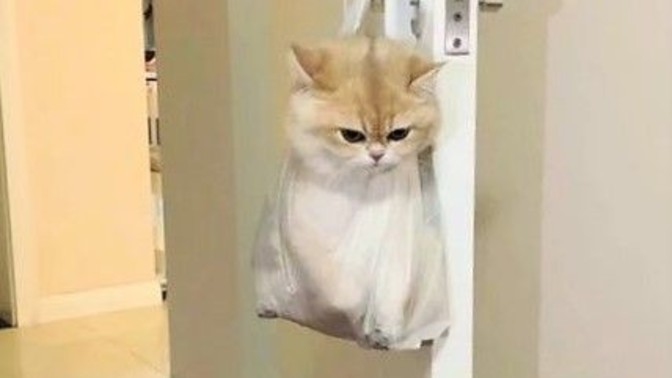 Sinirlenince sakinleşmek için yaptığınız özel bir şey var mı?