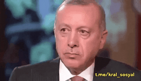 Yüzde kaç AKP'li olduğunu söyleyim mi?