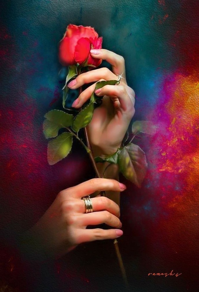 Verince mutlu olduğunuz şey nedir?