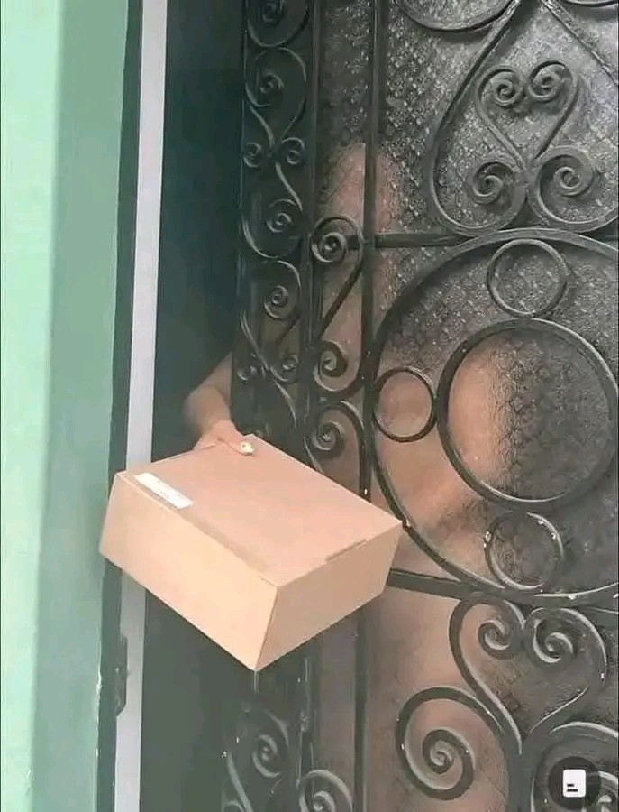 Ciplaksan kargocu gelse kargoyu alır mısın?