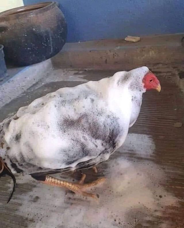 Birine ilk mesajı nasıl atardınız?
