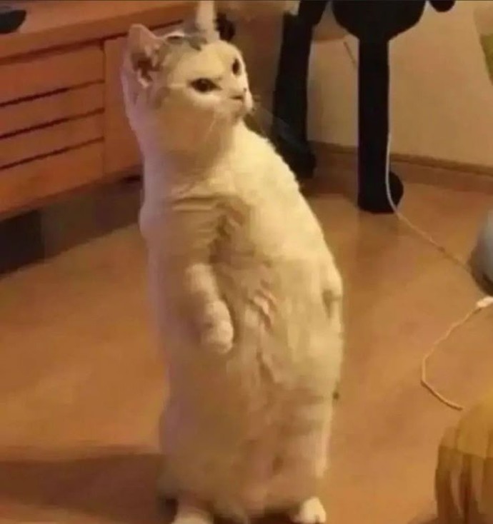 Bu saate uyumayanın ya derdi vardır ya da  sahur yapıyordur, sizde hangisi?