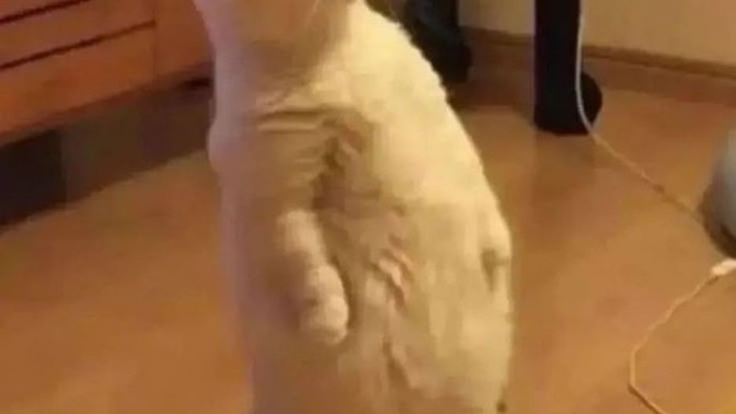 Bu saate uyumayanın ya derdi vardır ya da  sahur yapıyordur, sizde hangisi?