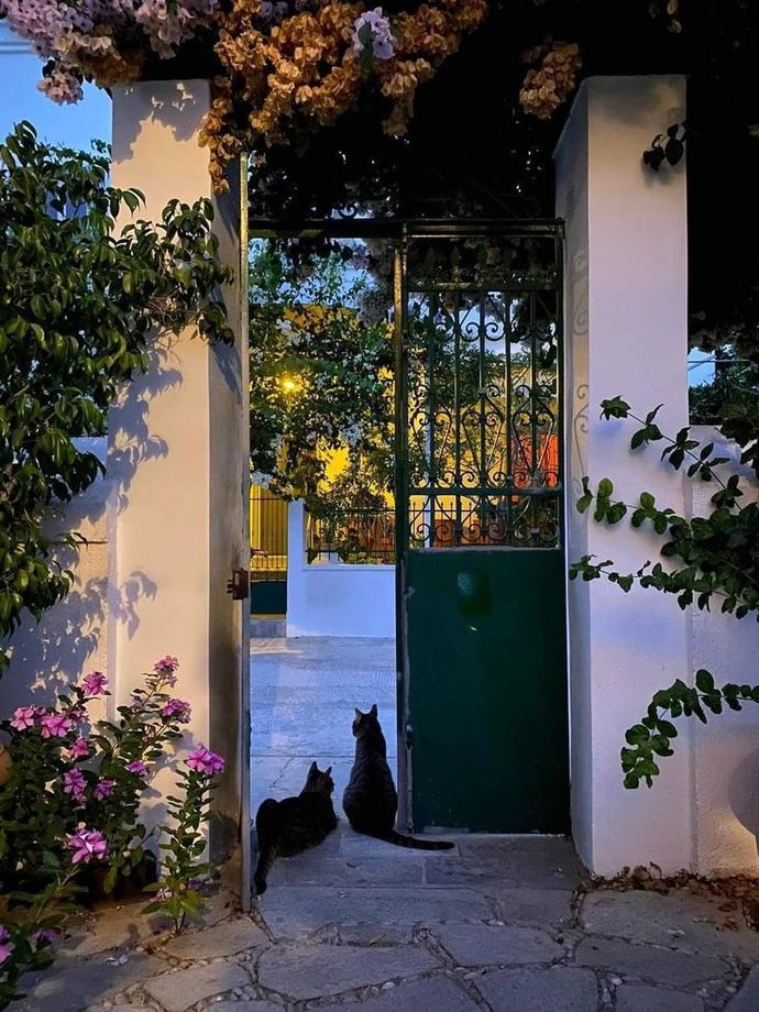 Çok emek vermiş olsanız bile bırakmanız gereken yerde kolaylıkla bırakabiliyor musunuz?