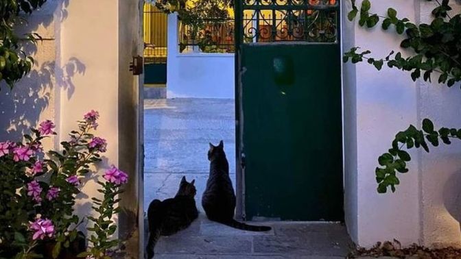 Çok emek vermiş olsanız bile bırakmanız gereken yerde kolaylıkla bırakabiliyor musunuz?