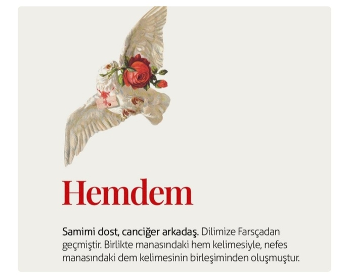 Seninde hemdemin var mı?