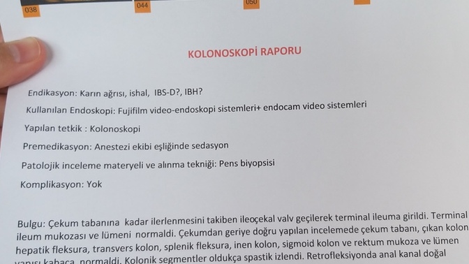 Endoskopi ve kolonoskopi sonucunu bırakıyorum anlayanlar bakabilir mi?