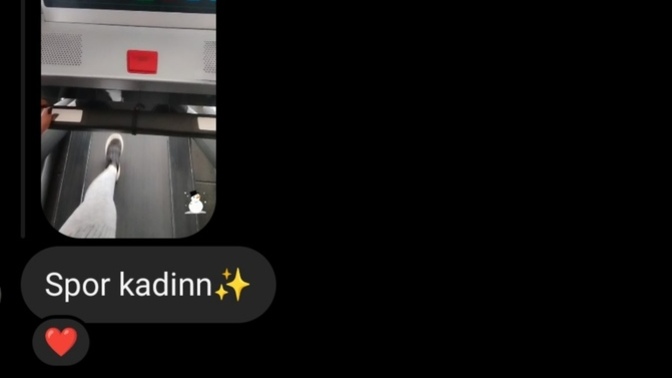 Çevrenizdekiler tarafından nasıl bilinirsiniz?