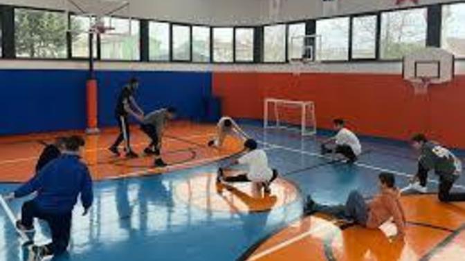 Bir spor dalında bir yıl boyunca sınırsız eğitim alma şansınız olsaydı, hangisi olurdu?