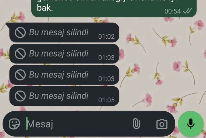 Yazdığı mesajı sürekli silen insan normal midir?