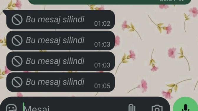 Yazdığı mesajı sürekli silen insan normal midir?
