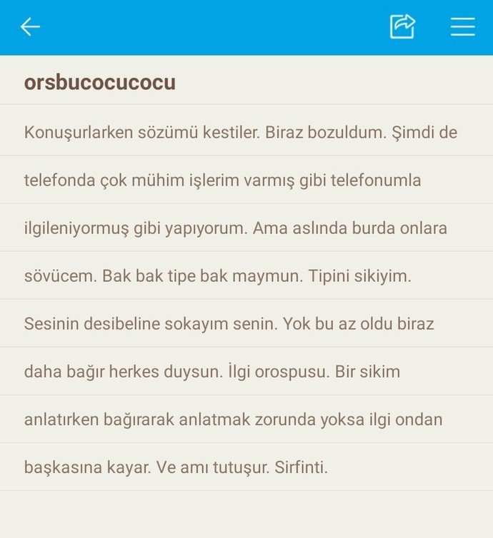 Telefonunuzdaki notları ne için kullanıyorsunuz?