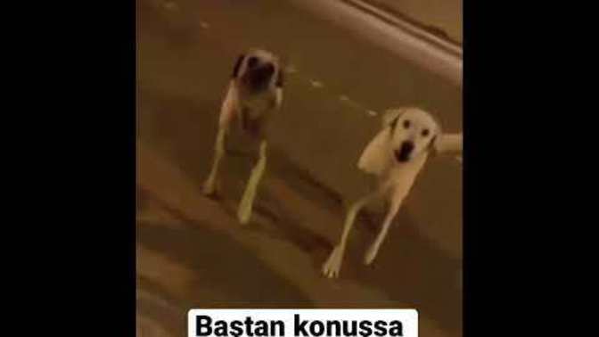 Yüzünüze gelip konuşmaya cesareti olmayan kişilerin sizi engelleyip, arkanıźdan atıp tutmaları sizce de acizlik değil mi?