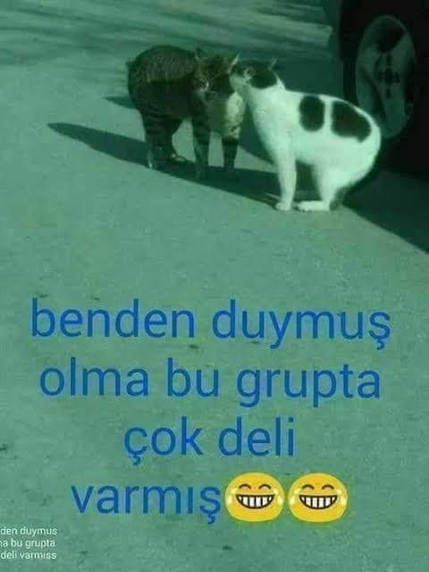 Instagram biyonuzda ne yazıyor, söyleyin bakiyimm?