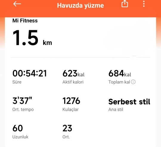 Nasıl yüzmüşüm akşam akşam?